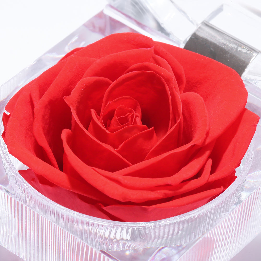 Preserved Forever Rose Acrylic Ring Box Gift for Women