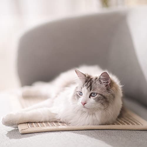 Horizontal Cat Floor Scratching Pad/Mat, Protect Carpets and Sofas