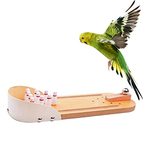 Table Top Mini Bowling Game Set