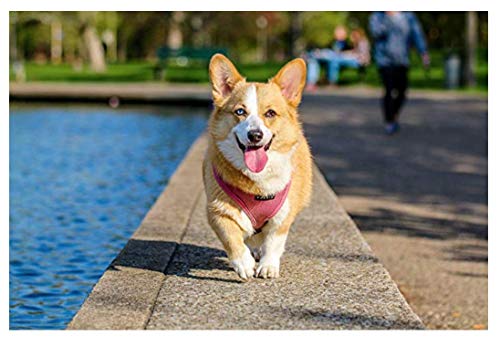 Corgi Origami Necklace, Best for Dog Lovers