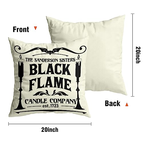 Halloween Decorations Pillow Covers Hocus Pocus Farmhouse Saying White Black Outdoor/Indoor Fall Pillow Cover