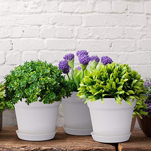 15 Pack 6 inch Plastic Planters w/ Multiple Drainage Holes & Tray