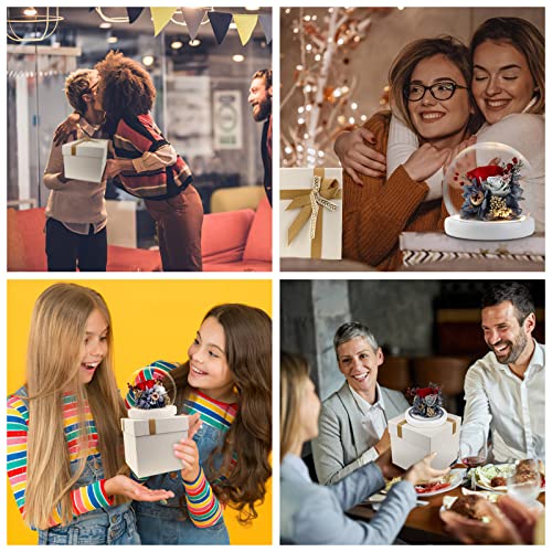 Light Up Fresh Preserved Flower Rose Gift