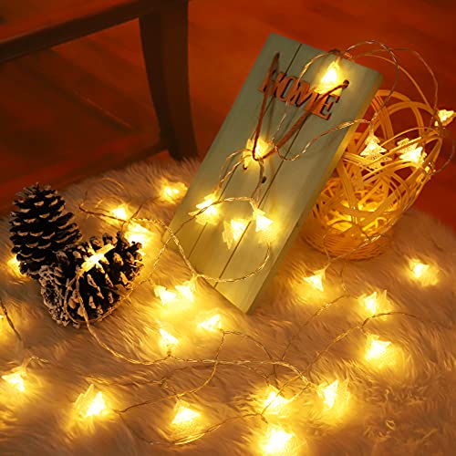 19.6 ft 40 LED Fairy Lights Battery Operated Christmas Lights