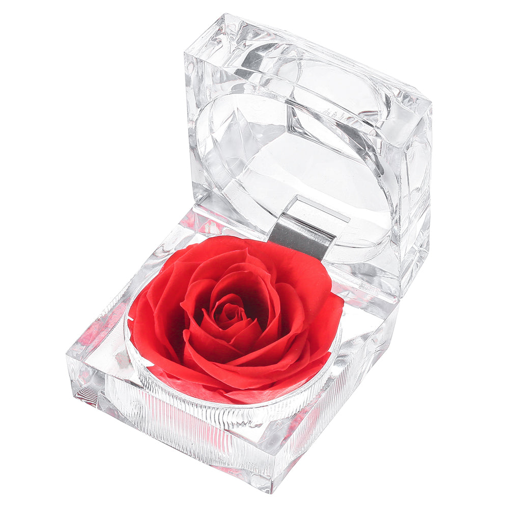 Preserved Forever Rose Acrylic Ring Box Gift for Women