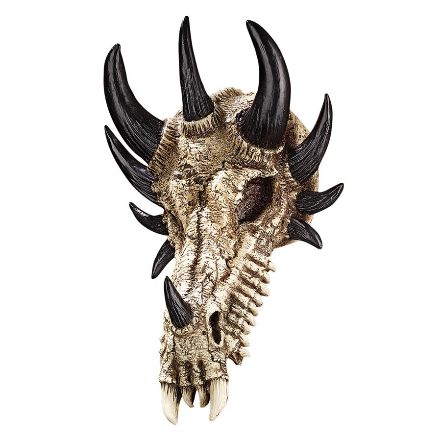 Manchester's Dragon Bones Sculptural Skull Wall Decoration