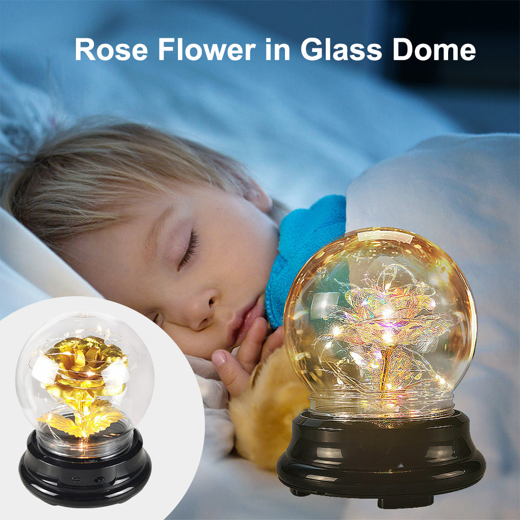 Rose Flower in Glass Dome Floral Globe w/ LED Light