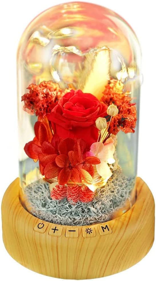 Red Rose Night Light-Real Eternal Rose in Glass Dome, Preserved Rose w/ Bluetooth Speaker