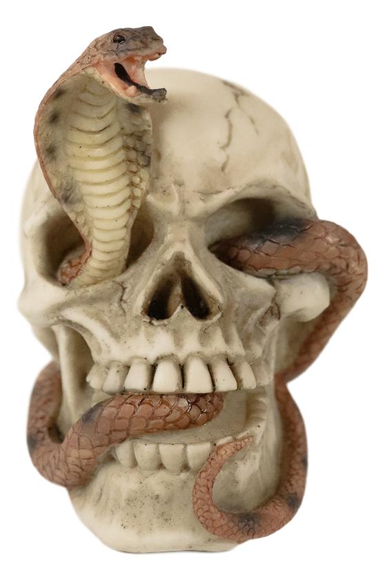 Cranium Skeleton Cobra Snake Habitat Skull Statue Figurine