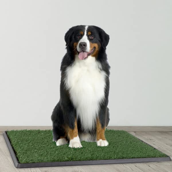 Large Artificial Grass Pee Pads w/ Tray Set of 3 Pads