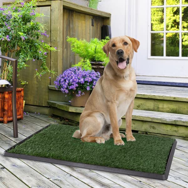 Large Artificial Grass Pee Pads w/ Tray Set of 3 Pads