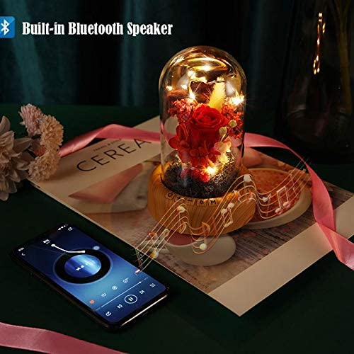 Red Rose Night Light-Real Eternal Rose in Glass Dome, Preserved Rose w/ Bluetooth Speaker