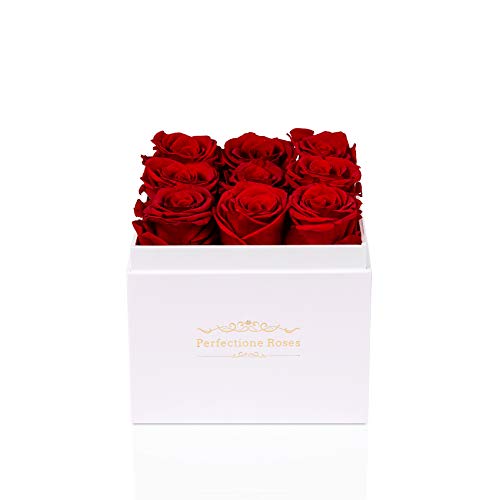 Real Roses Preserved Flowers in a Box, Long-Lasting Rose in White Medium Square Box