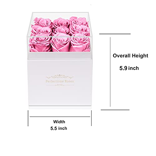 Real Roses Preserved Flowers in a Box, Long-Lasting Rose in White Medium Square Box