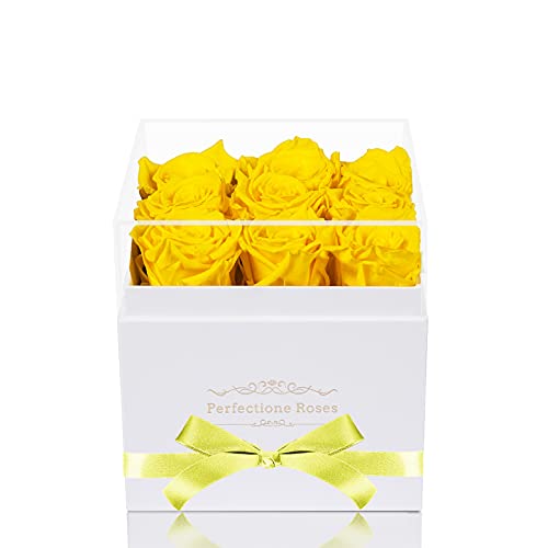 Real Roses Preserved Flowers in a Box, Long-Lasting Rose in White Medium Square Box