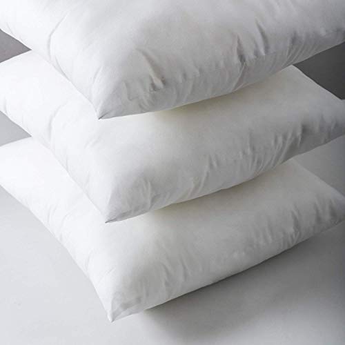 Set of 4 Hypoallergenic Square Decorative Throw Pillow Inserts