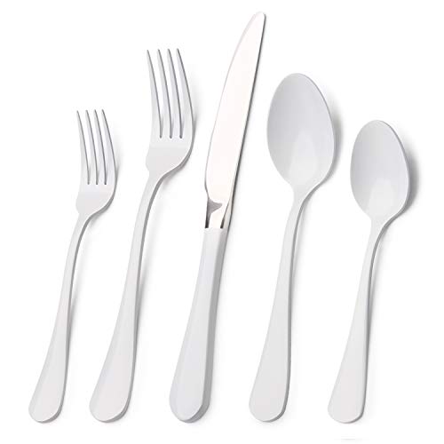 20-Piece Stainless Steel Flatware Set  Service for 4, Mirror Polished, Dishwasher Safe