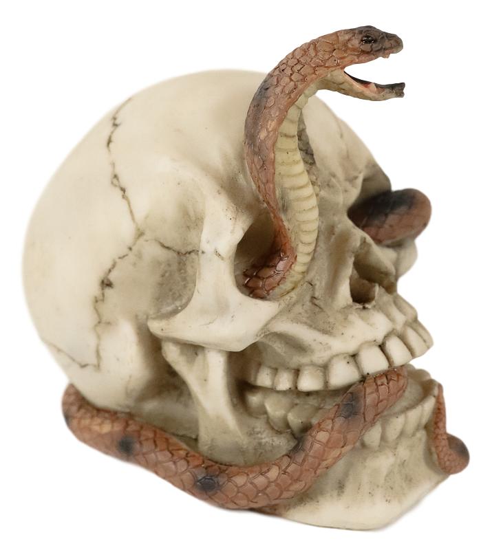 Cranium Skeleton Cobra Snake Habitat Skull Statue Figurine