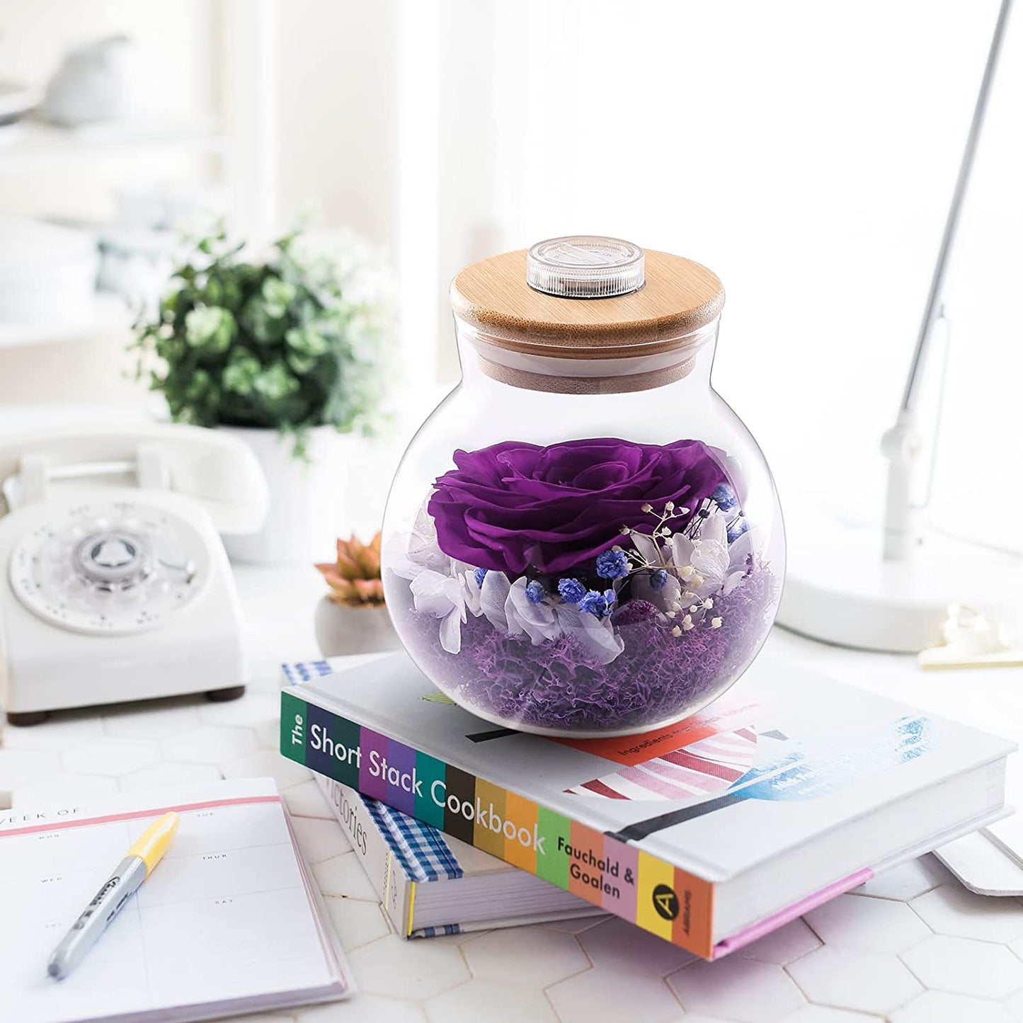 Valentines Day Rose Gifts for Women, Purple Preserved Flower Rose, Purple Rose