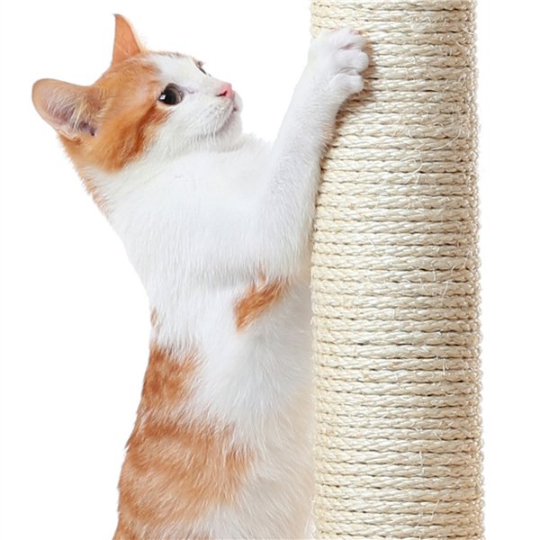 36'' H Cat Tree Tower Cat House with Double Condos Scratching Posts Sisal Rope Furry Ball for Cats and Kittens, Dark Gray