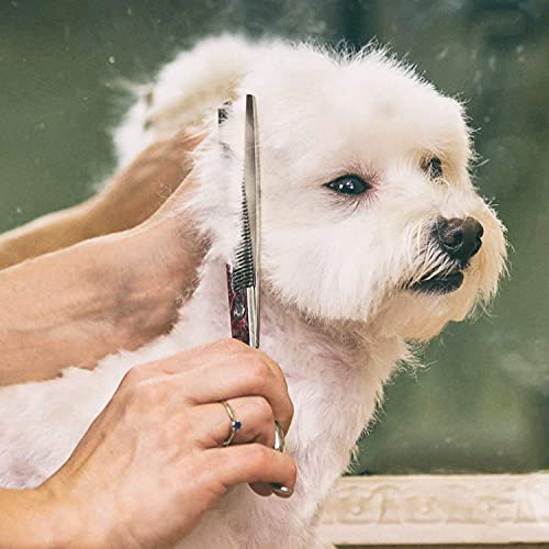 4CR Stainless Steel Safety Round Tip 6 in 1 Professional Dog Grooming Scissors Kit