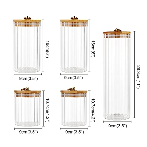 Glass Storage Jars Set of 5
