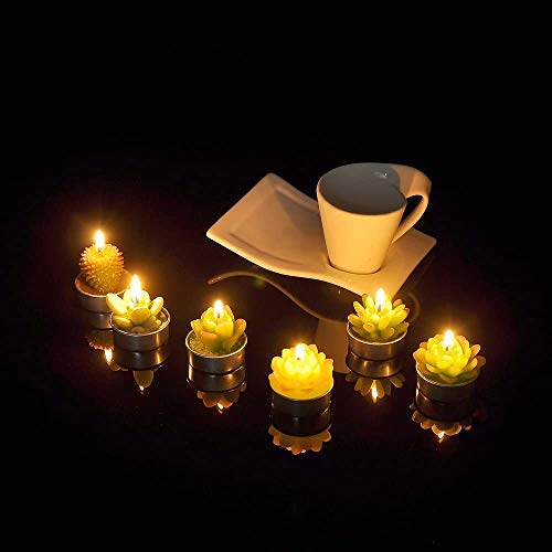 6 Packs Cactus Tealight Candle