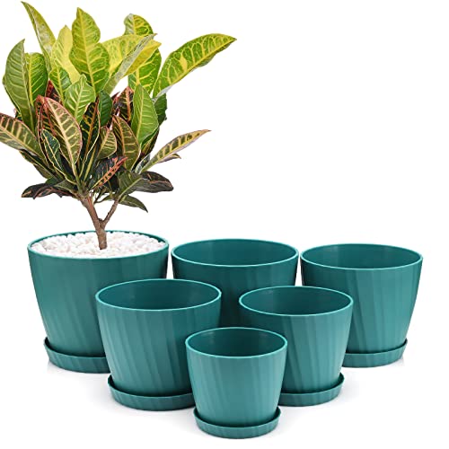 Set of 6 Plastic Planters with Saucer  7.5/7/6.5/6/5.5/4.5 Inch