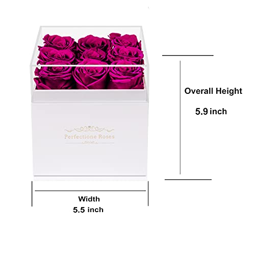 Real Roses Preserved Flowers in a Box, Long-Lasting Rose in White Medium Square Box