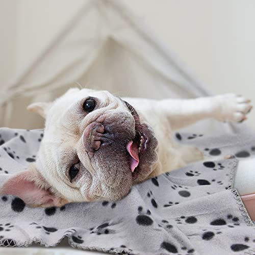 Cute Dog Cat Fleece Blankets w/ Paw Prints Pack of 6 (Black, Brown, Blue, Grey, Red and White)