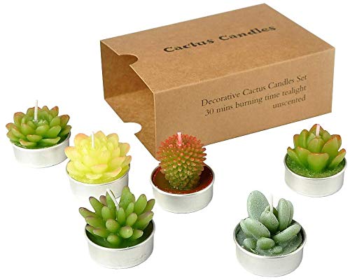 6 Packs Cactus Tealight Candle