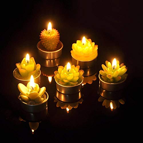 6 Packs Cactus Tealight Candle