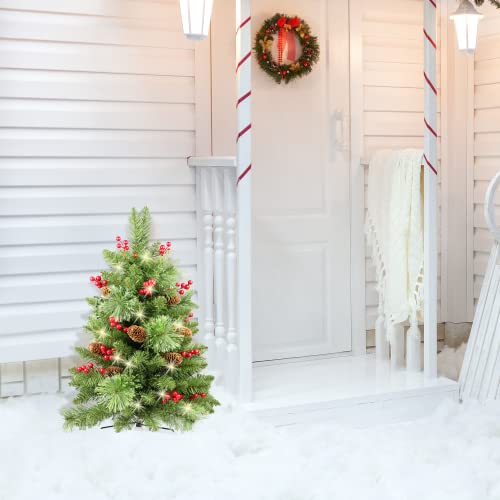 30 inch Prelit 2 Set Pathway Porch Christmas Trees