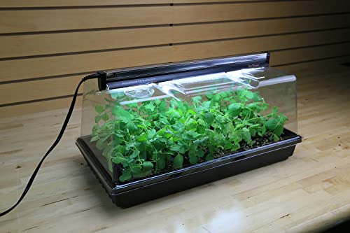 Plant Sprouter Heated Propagation