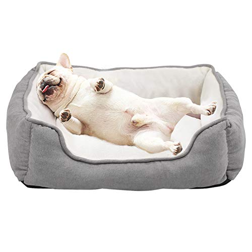 Reversible Rectangle Pet Bed w/ Dog Paw Printing, 25 by 21 inches