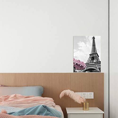 Paris Eiffel Tower Canvas Wall Art Decor  Black & White 12x16"