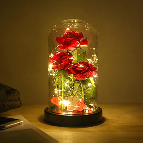 Preserved Rose in Dome for Valentines Day Gift