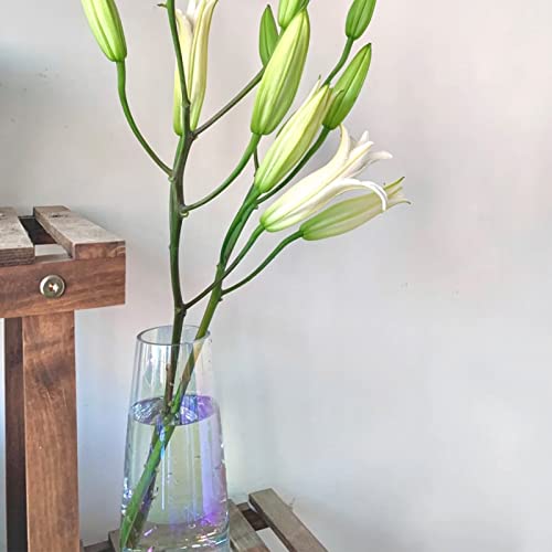 2 Pcs Modern Soda Lime Glass Vase,8.8Inch Irised Crystal Clear Glass Vase,Large Flower Vases for Home,Office