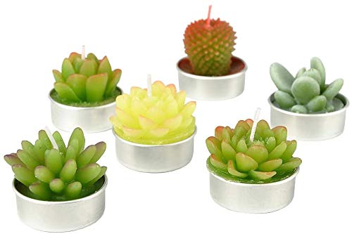 6 Packs Cactus Tealight Candle