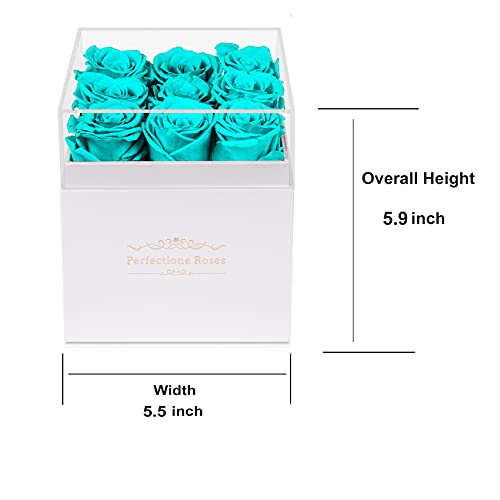 Real Roses Preserved Flowers in a Box, Long-Lasting Rose in White Medium Square Box