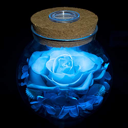 Preserved Real Roses w/  Colorful Mood Light Wishing Bottle