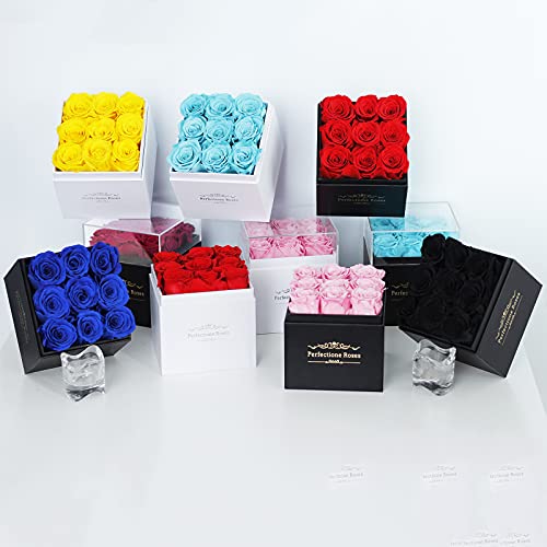 Real Roses Preserved Flowers in a Box, Long-Lasting Rose in White Medium Square Box