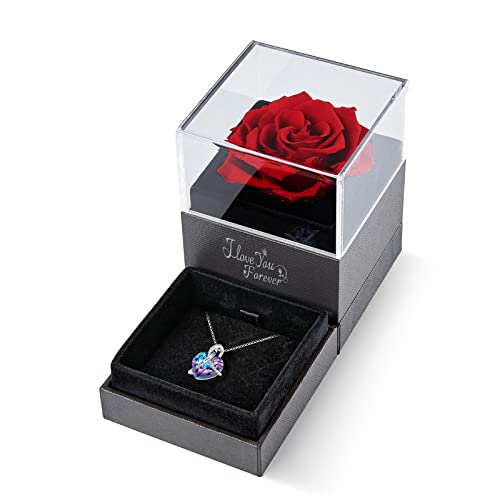 Preserved Rose w/ Heart Necklace -Real Rose Gifts for Valentines Day