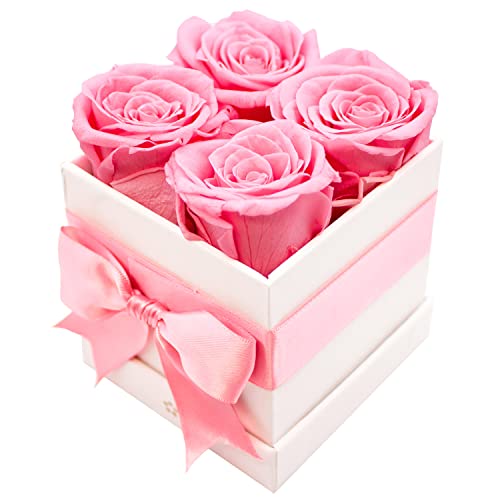 4 Blush Preserved Fresh Flowers Gift for Women