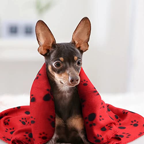 Cute Dog Cat Fleece Blankets w/ Paw Prints Pack of 6 (Black, Brown, Blue, Grey, Red and White)