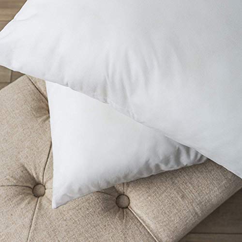 Set of 4 Hypoallergenic Square Decorative Throw Pillow Inserts