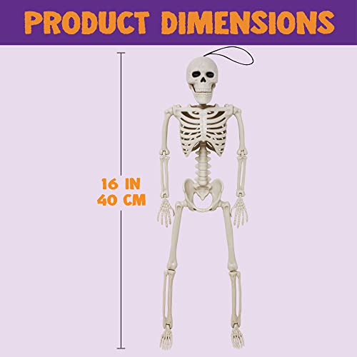 Full Body Posable Joints Skeletons 5 Packs for Halloween Decoration