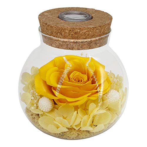 Preserved Real Roses w/  Colorful Mood Light Wishing Bottle