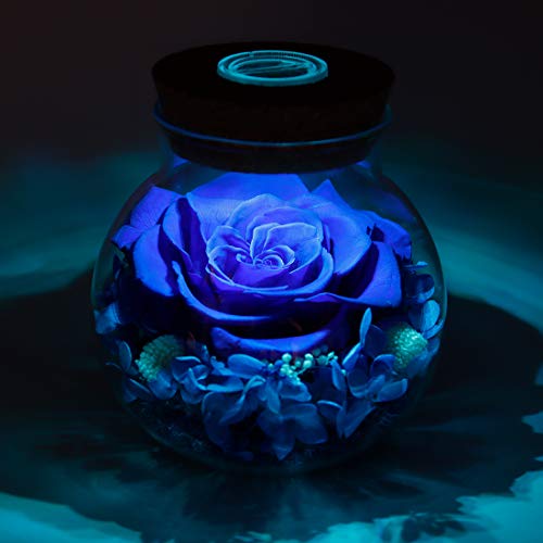 Preserved Real Roses w/  Colorful Mood Light Wishing Bottle