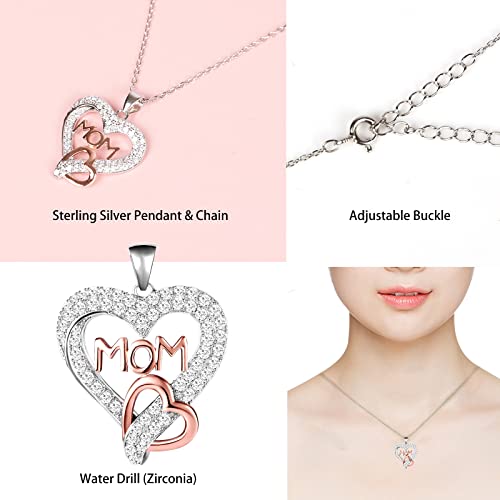 Preserved Rose Set Includes 925 Sterling Silver Necklace for Mothers' Day/Birthday Gift